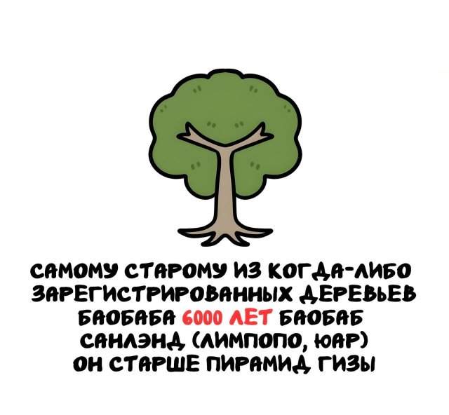 Интересные факты на все случаи жизни Интересные факты на все случаи жизни