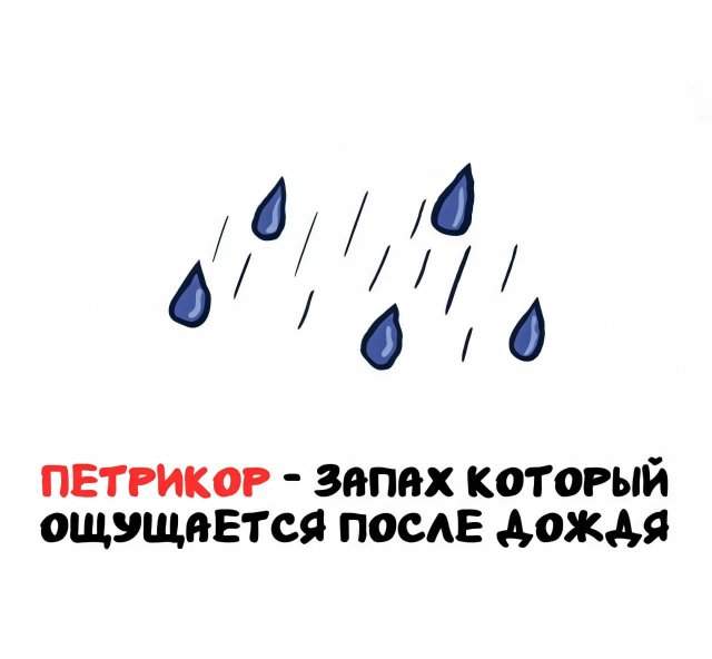 Интересные факты на все случаи жизни Интересные факты на все случаи жизни