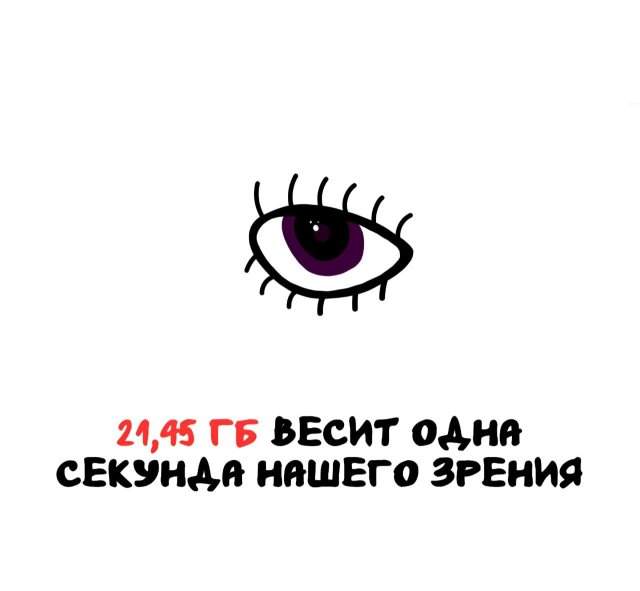 Интересные факты на все случаи жизни Интересные факты на все случаи жизни