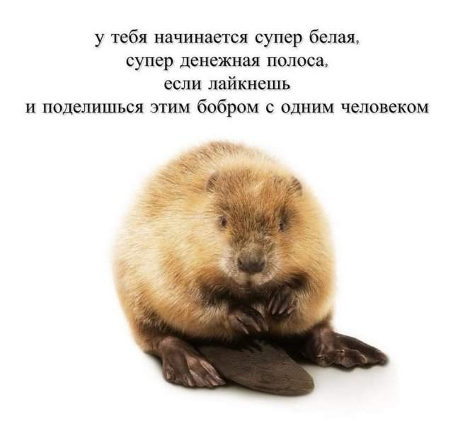 Смешные мемы - 21.05.2025 Смешные мемы - 21.05.2025