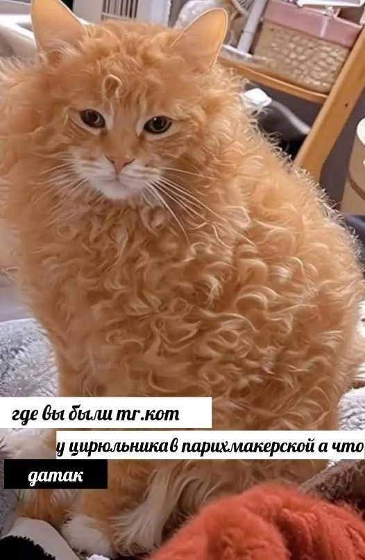Смешные мемы - 21.05.2025 Смешные мемы - 21.05.2025