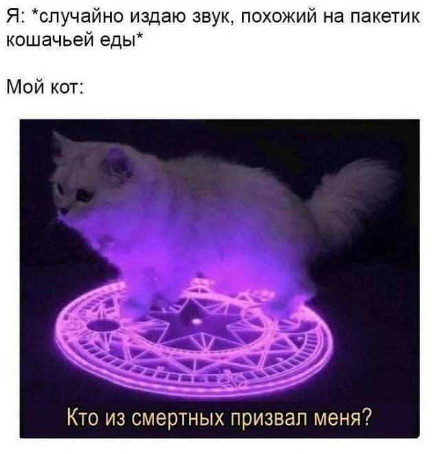 Смешные мемы - 21.05.2025 Смешные мемы - 21.05.2025