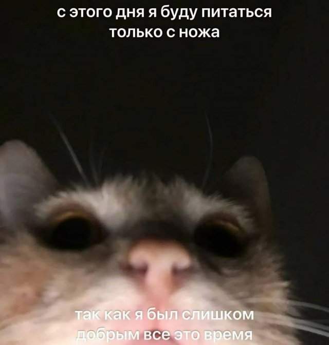 Смешные мемы - 21.05.2025 Смешные мемы - 21.05.2025