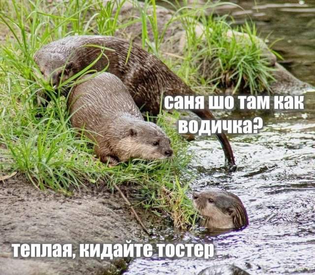 Смешные мемы - 21.05.2025 Смешные мемы - 21.05.2025