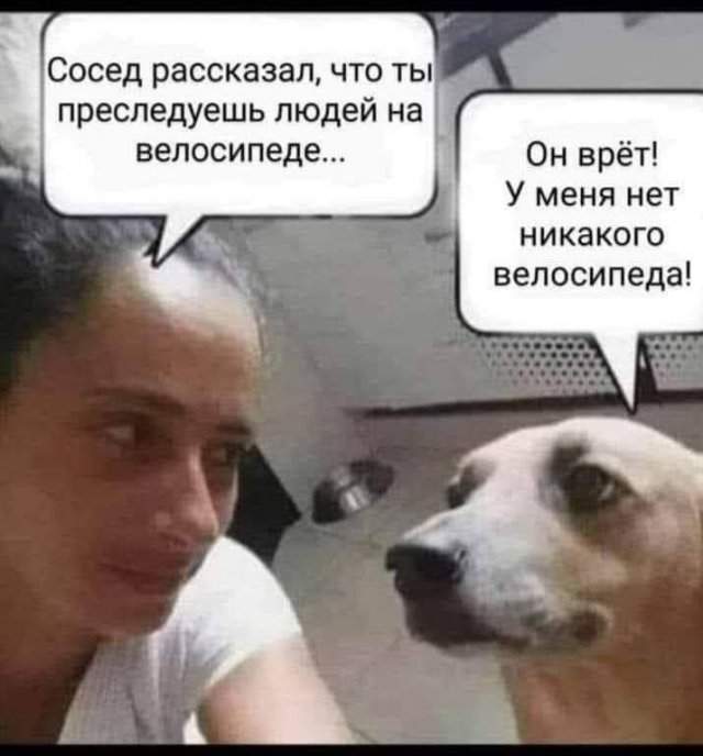Смешные мемы - 21.05.2025 Смешные мемы - 21.05.2025
