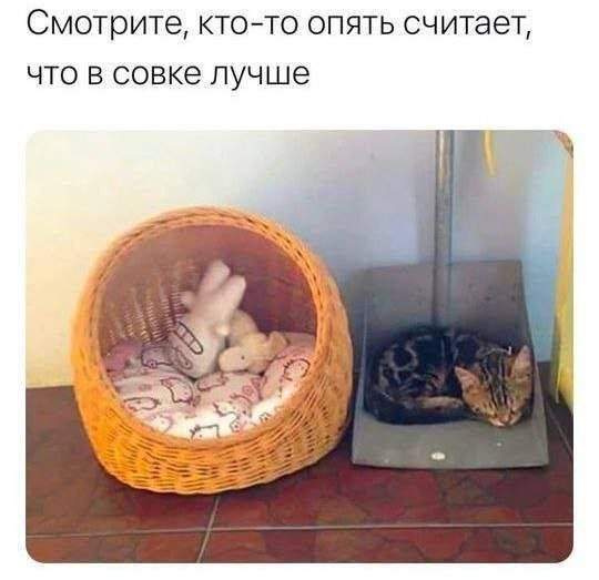 Смешные мемы - 21.05.2025 Смешные мемы - 21.05.2025