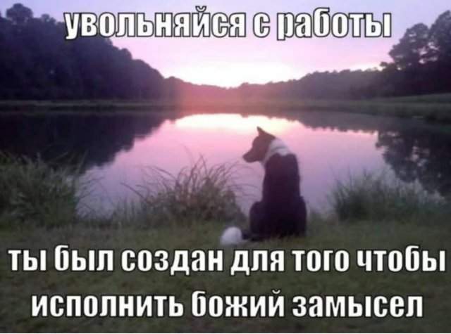 Смешные мемы - 21.05.2025 Смешные мемы - 21.05.2025