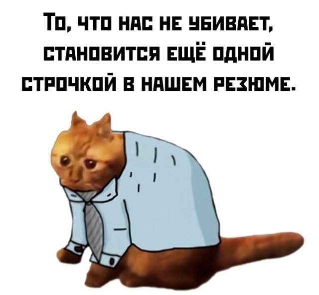 Подборка картинок. Вечерний выпуск - 20.05.2025