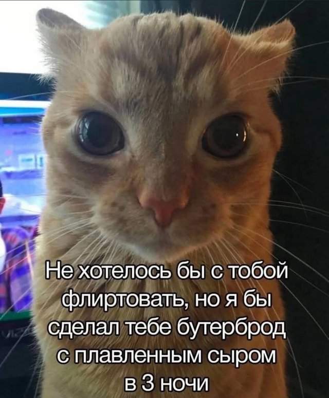 Лучшие шутки и мемы из Сети - 21.05.2025 Лучшие шутки и мемы из Сети - 21.05.2025