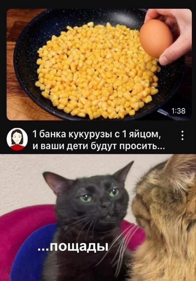 Лучшие шутки и мемы из Сети - 21.05.2025 Лучшие шутки и мемы из Сети - 21.05.2025