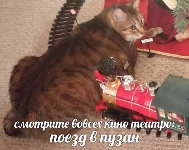 Лучшие шутки и мемы из Сети - 21.05.2025 Лучшие шутки и мемы из Сети - 21.05.2025