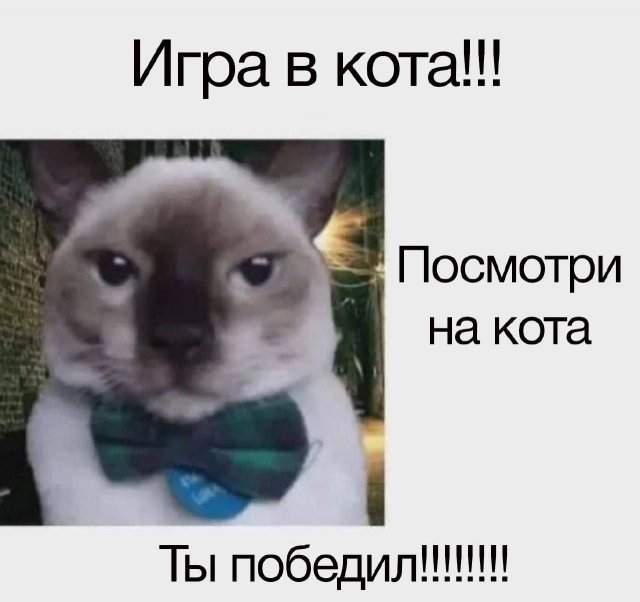 Лучшие шутки и мемы из Сети - 21.05.2025 Лучшие шутки и мемы из Сети - 21.05.2025