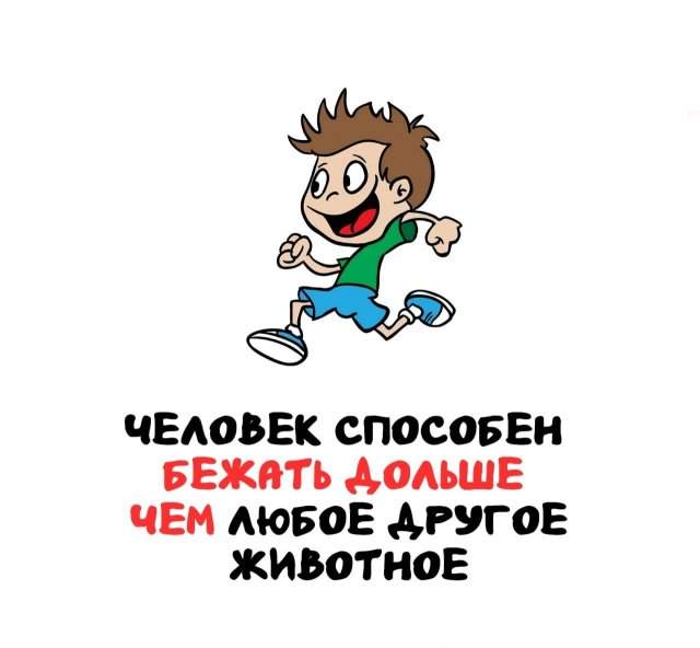 Интересные факты на все случаи жизни