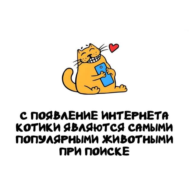 Интересные факты на все случаи жизни Интересные факты на все случаи жизни