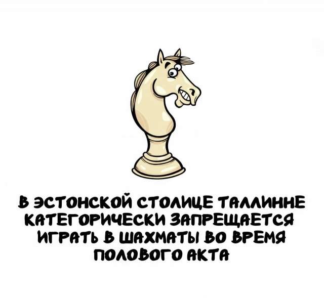 Интересные факты на все случаи жизни Интересные факты на все случаи жизни