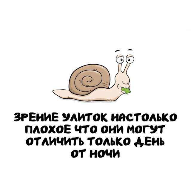 Интересные факты на все случаи жизни Интересные факты на все случаи жизни