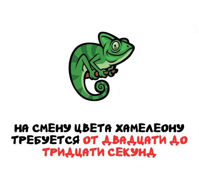 Интересные факты на все случаи жизни Интересные факты на все случаи жизни