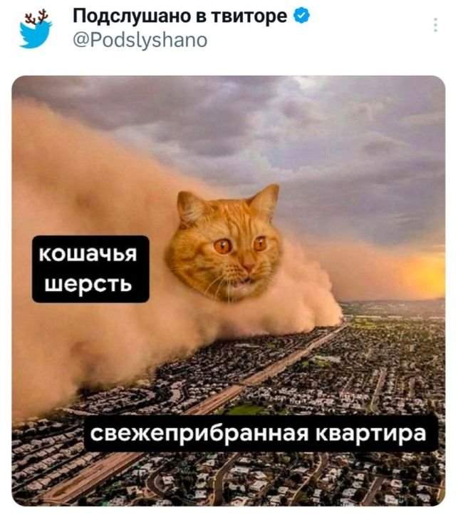 Подборка забавных твитов обо всем Подборка забавных твитов обо всем