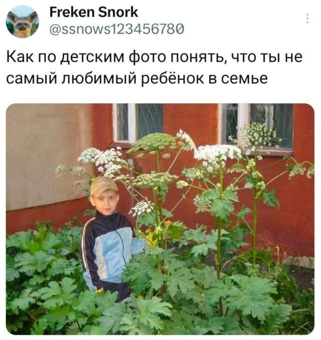 Подборка забавных твитов обо всем Подборка забавных твитов обо всем