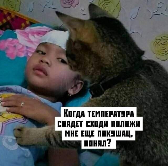 Лучшие шутки и мемы из Сети - 22.05.2025 Лучшие шутки и мемы из Сети - 22.05.2025