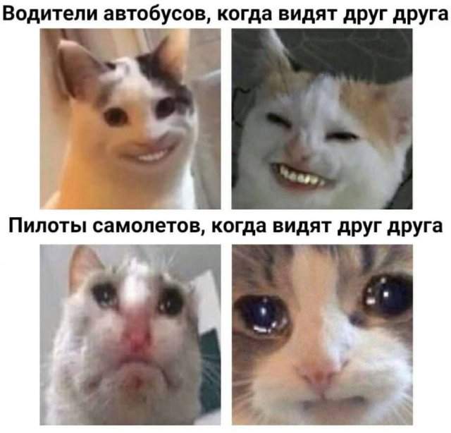 Смешные картинки - 23.05.2025 Смешные картинки - 23.05.2025