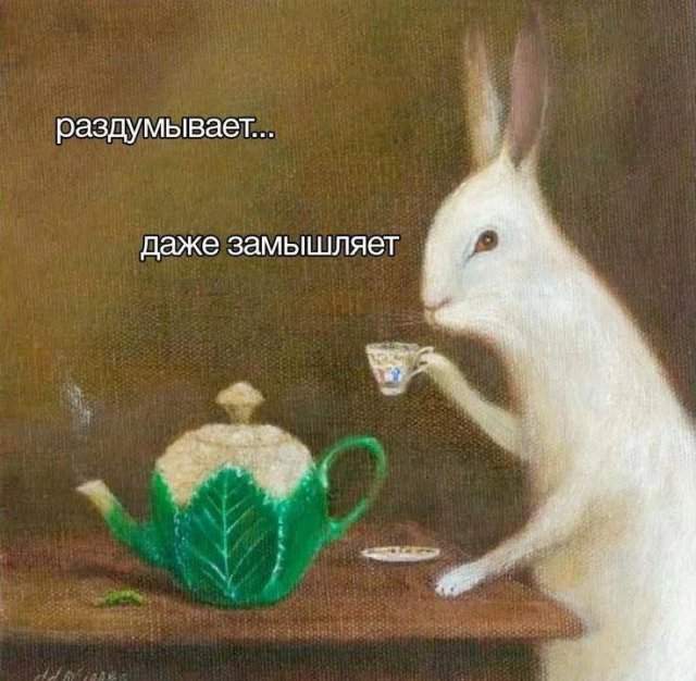 Смешные картинки - 23.05.2025 Смешные картинки - 23.05.2025