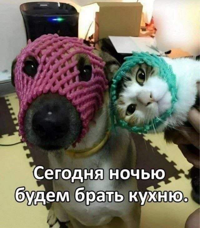 Смешные картинки - 23.05.2025 Смешные картинки - 23.05.2025