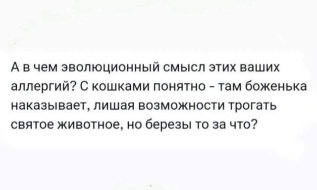 Смешные картинки - 23.05.2025 Смешные картинки - 23.05.2025