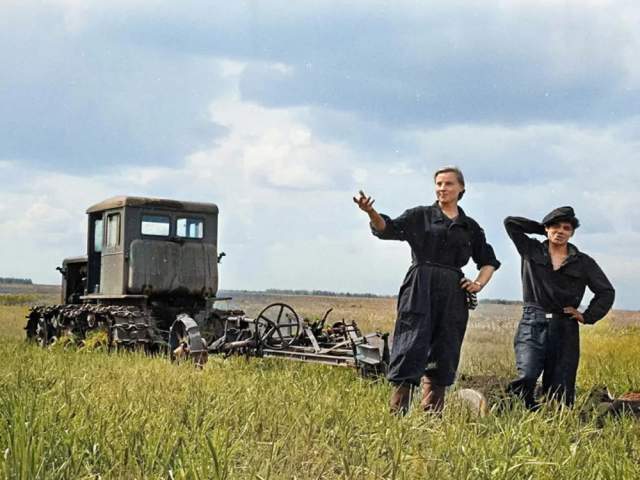 Комсомольцы на целине, 1954-1960 год. Комсомольцы на целине, 1954-1960 год.