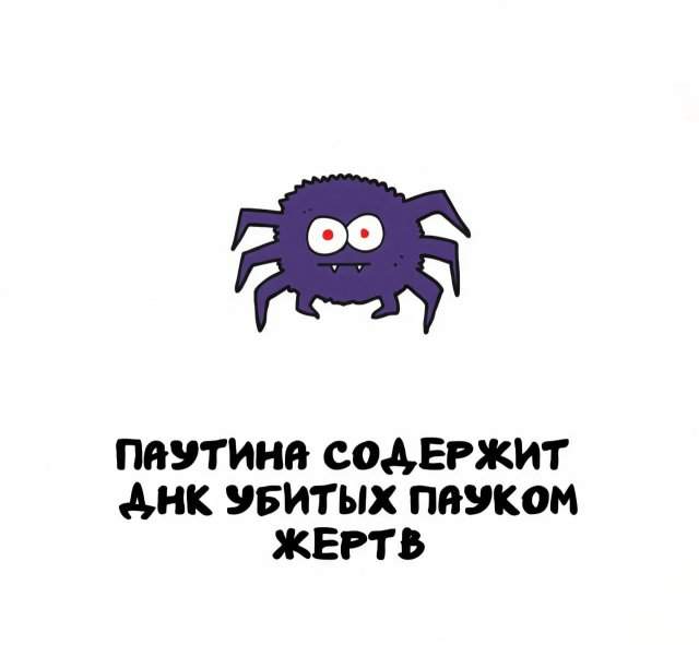Интересные факты на все случаи жизни
