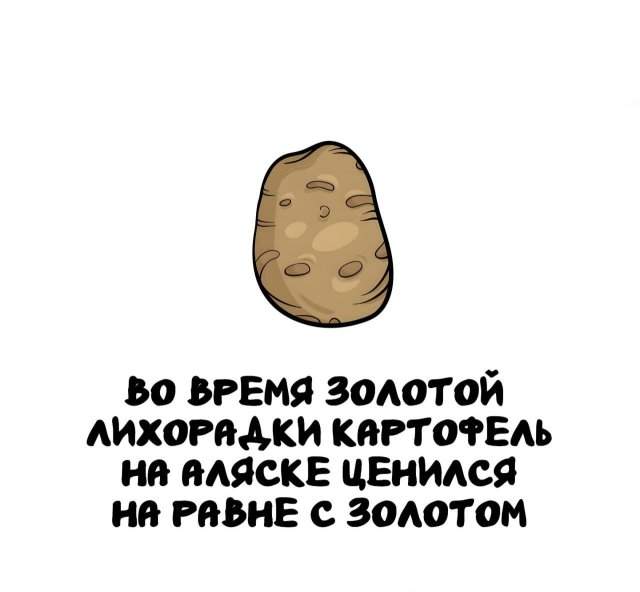Интересные факты на все случаи жизни Интересные факты на все случаи жизни