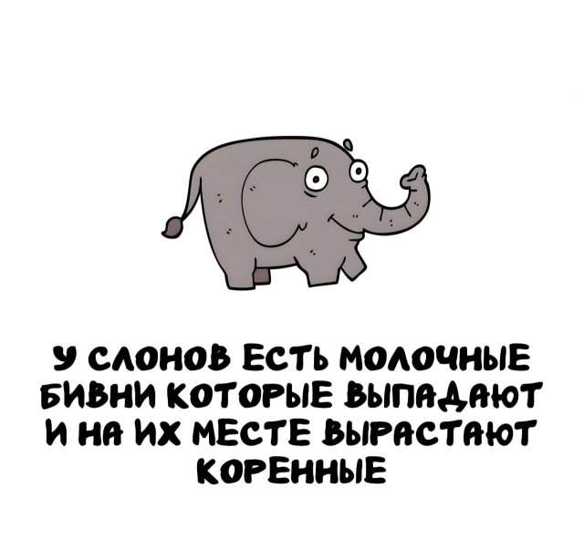 Интересные факты на все случаи жизни Интересные факты на все случаи жизни