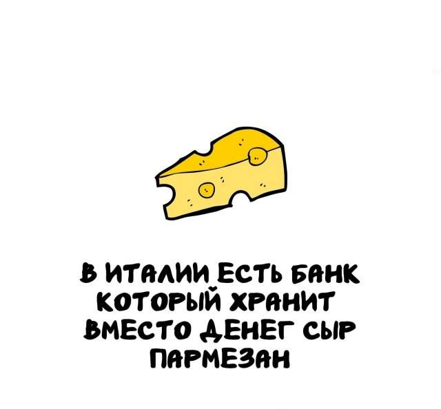 Интересные факты на все случаи жизни Интересные факты на все случаи жизни