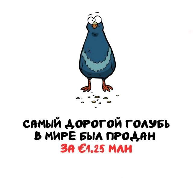 Интересные факты на все случаи жизни Интересные факты на все случаи жизни