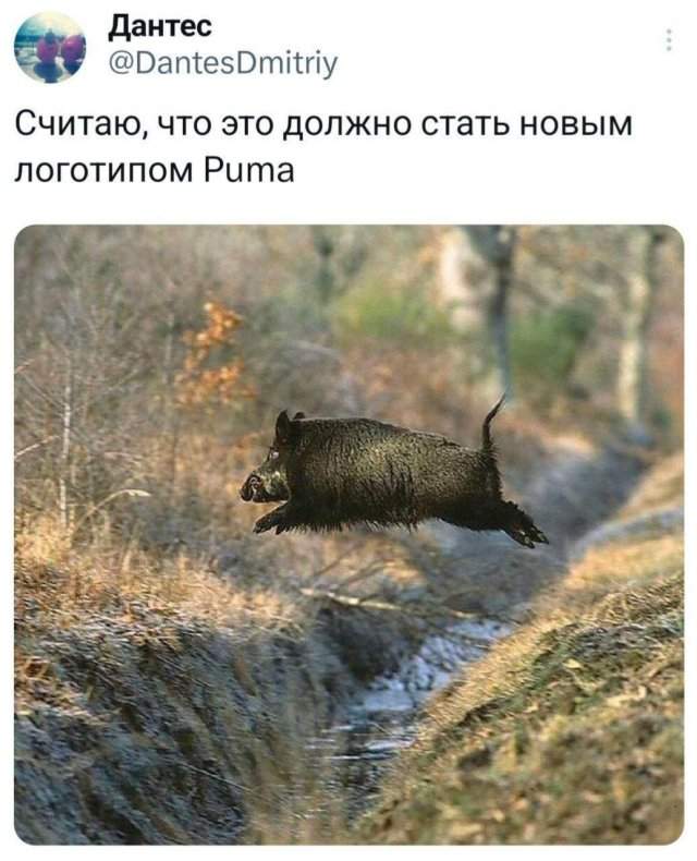 Подборка забавных твитов обо всем Подборка забавных твитов обо всем