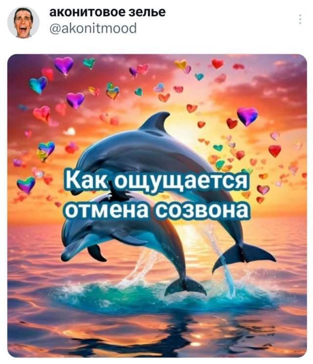 Подборка забавных твитов обо всем Подборка забавных твитов обо всем