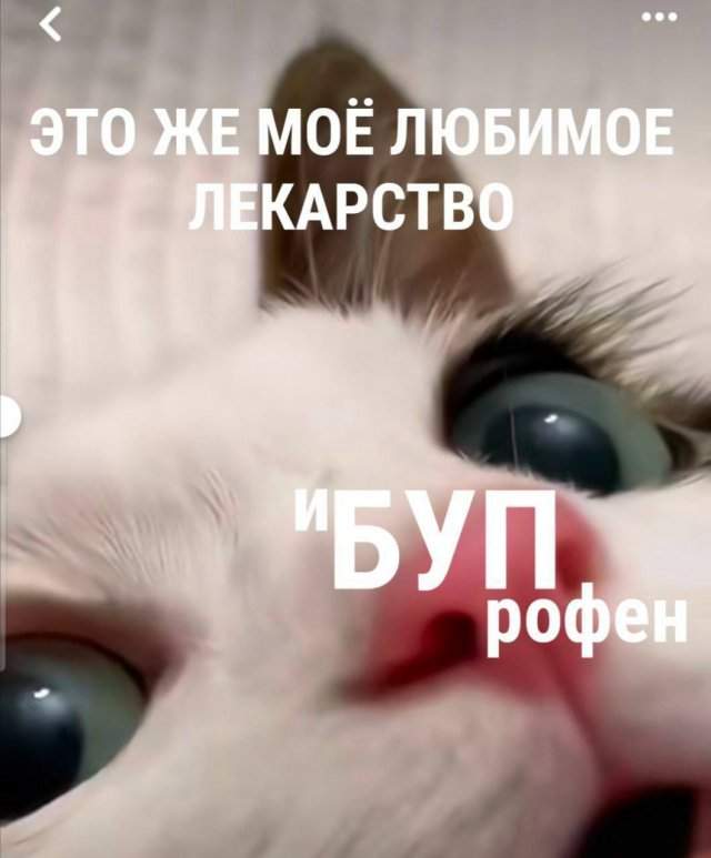 Смешные мемы - 26.05.2025 Смешные мемы - 26.05.2025