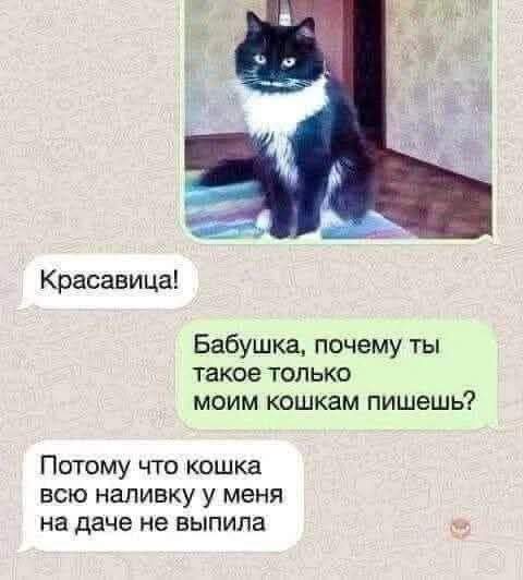 Смешные мемы - 26.05.2025 Смешные мемы - 26.05.2025