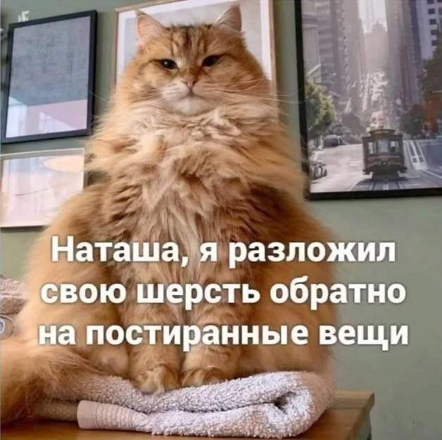 Смешные мемы - 26.05.2025 Смешные мемы - 26.05.2025