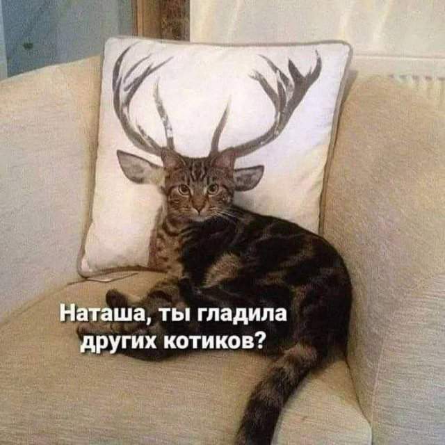 Лучшие шутки и мемы из Сети - 26.05.2025 Лучшие шутки и мемы из Сети - 26.05.2025