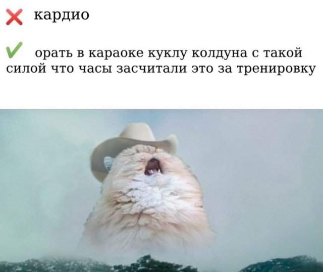 Лучшие шутки и мемы из Сети - 26.05.2025 Лучшие шутки и мемы из Сети - 26.05.2025