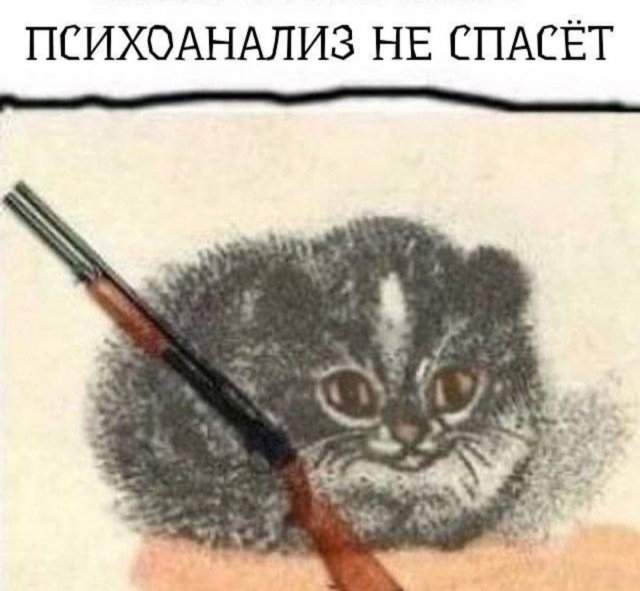 Лучшие шутки и мемы из Сети - 26.05.2025 Лучшие шутки и мемы из Сети - 26.05.2025