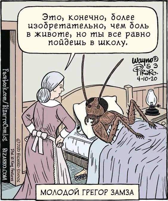 Лучшие шутки и мемы из Сети - 26.05.2025 Лучшие шутки и мемы из Сети - 26.05.2025