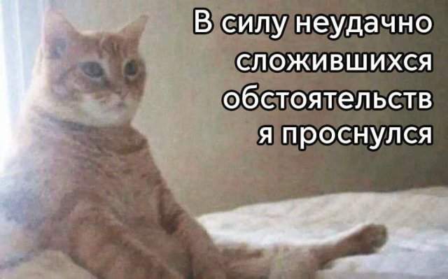 Лучшие шутки и мемы из Сети - 26.05.2025 Лучшие шутки и мемы из Сети - 26.05.2025