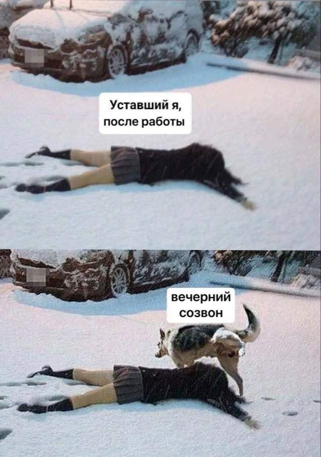 Лучшие шутки и мемы из Сети - 26.05.2025 Лучшие шутки и мемы из Сети - 26.05.2025
