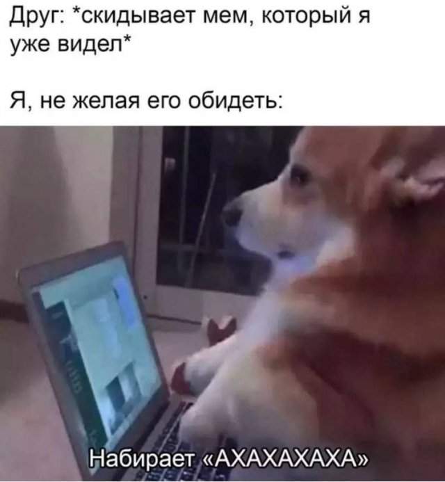 Смешные мемы - 27.05.2025 Смешные мемы - 27.05.2025