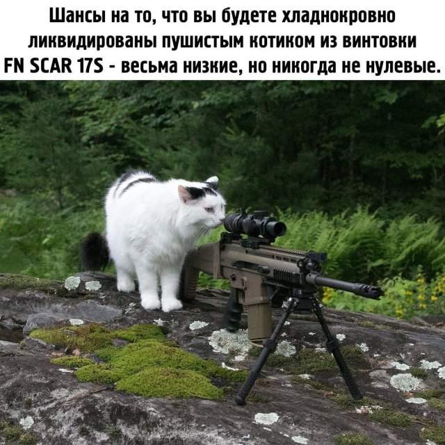Смешные мемы - 27.05.2025 Смешные мемы - 27.05.2025