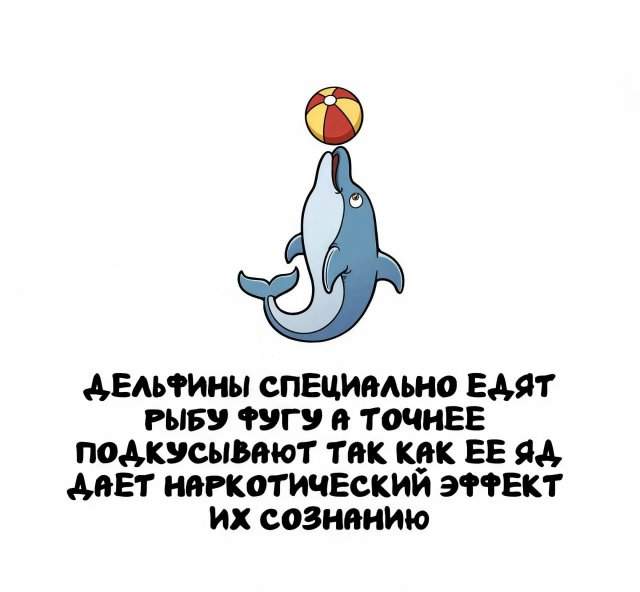 Интересные факты на все случаи жизни Интересные факты на все случаи жизни