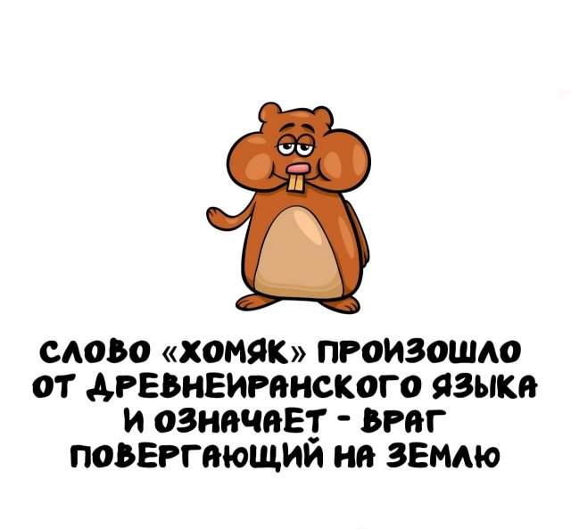Интересные факты на все случаи жизни Интересные факты на все случаи жизни