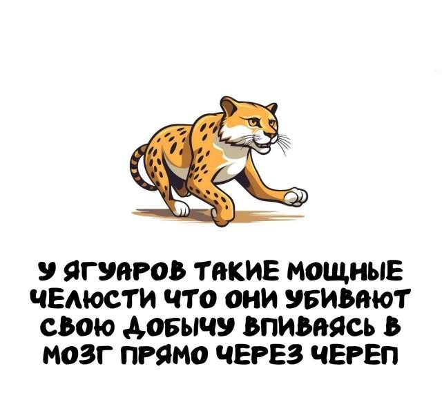 Интересные факты на все случаи жизни Интересные факты на все случаи жизни